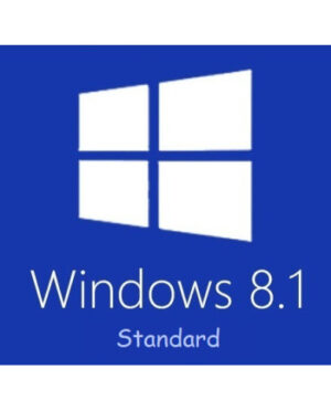 Windows-8-1-standard