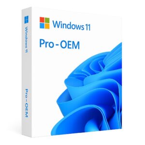 Windows 11 Professional OEM